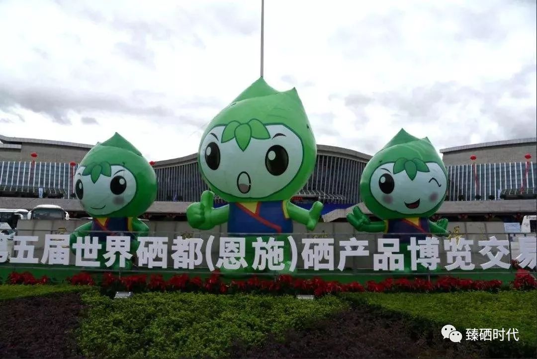 号召全民补硒是谁说的(号召全民补硒说是真的吗)-硒宝网