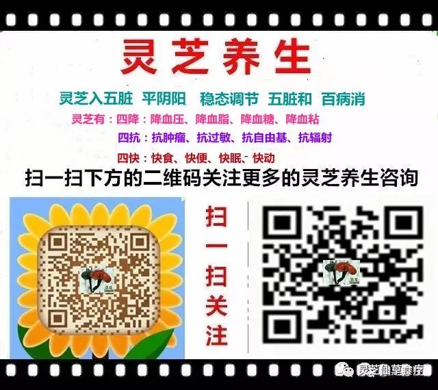 男性备孕补硒推荐药品(男士备孕补硒)-硒宝网