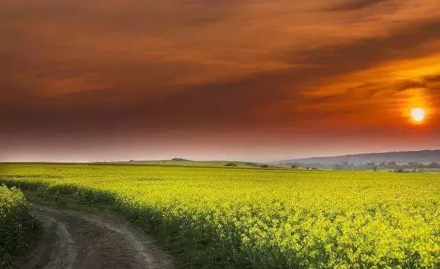 男性备孕补硒推荐药品(男士备孕补硒)-硒宝网