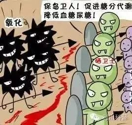 哪些病不能补硒的人群(补硒能消耗维生素e和a嘛)-硒宝网