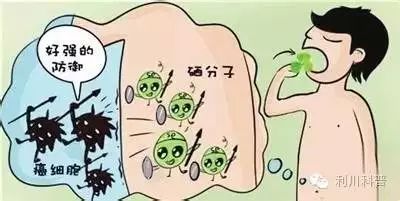 哪些病不能补硒的人群(补硒能消耗维生素e和a嘛)-硒宝网