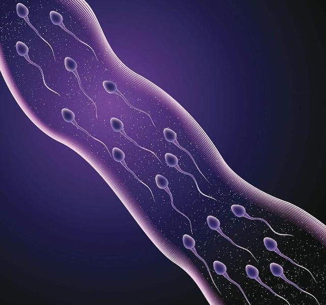 备孕男性每天补多少硒（备孕男士补硒每天补多少合适）-硒宝网