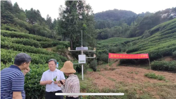 桥本补硒能降低抗体吗（桥本甲减吃硒酵母抗体降了）-硒宝网