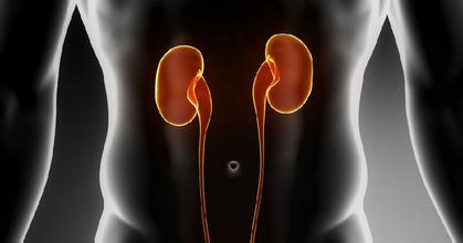 补硒能控制肾癌扩散吗（补硒能抑制癌细胞吗）-硒宝网