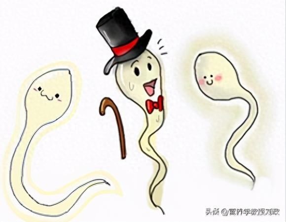 补硒会增加受孕几率吗(补硒会增加受孕几率吗)-硒宝网