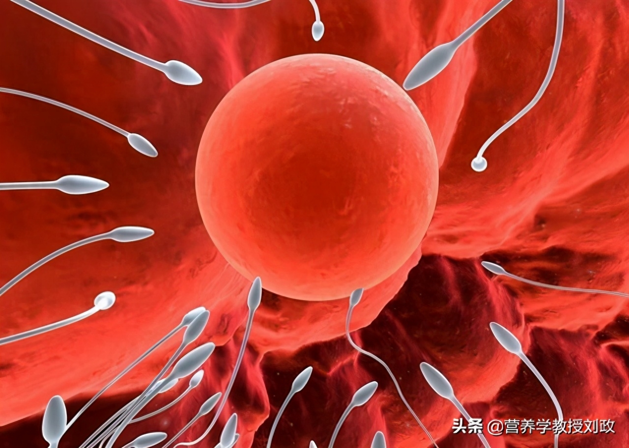 补硒会增加受孕几率吗(补硒会增加受孕几率吗)-硒宝网