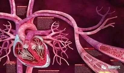 癌症患者补硒吃什么药（癌症药补患者吃硒片可以吗）-硒宝网