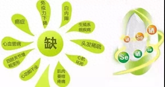 身体补硒的药物是什么(药品补硒)-硒宝网