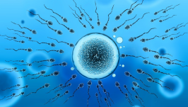 孕期补硒有必要吗男性（备孕男士补硒每天补多少合适）-硒宝网