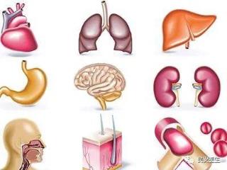 补硒能延缓面部衰老吗(补硒可以提高老年人的健康水平)-硒宝网