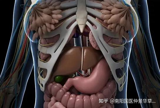 补硒能延缓面部衰老吗(补硒可以提高老年人的健康水平)-硒宝网