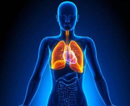 补硒能延缓面部衰老吗(补硒可以提高老年人的健康水平)-硒宝网