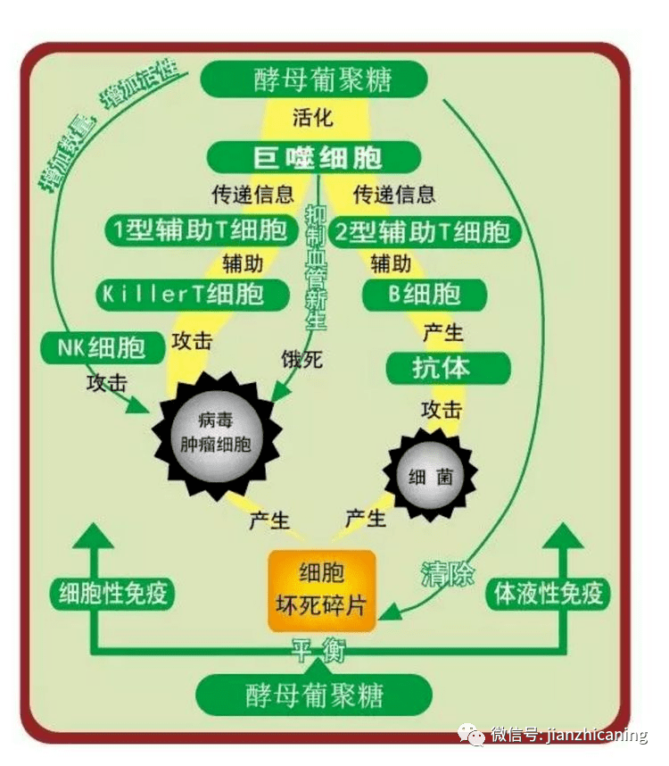 补硒能延缓面部衰老吗（衰老面部延缓能补硒吗）-硒宝网