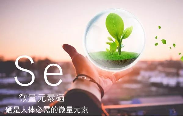 北京卫视3种补硒食物（北京全民补硒启动）-硒宝网