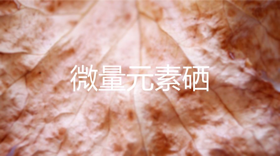 北京卫视3种补硒食物（北京全民补硒启动）-硒宝网