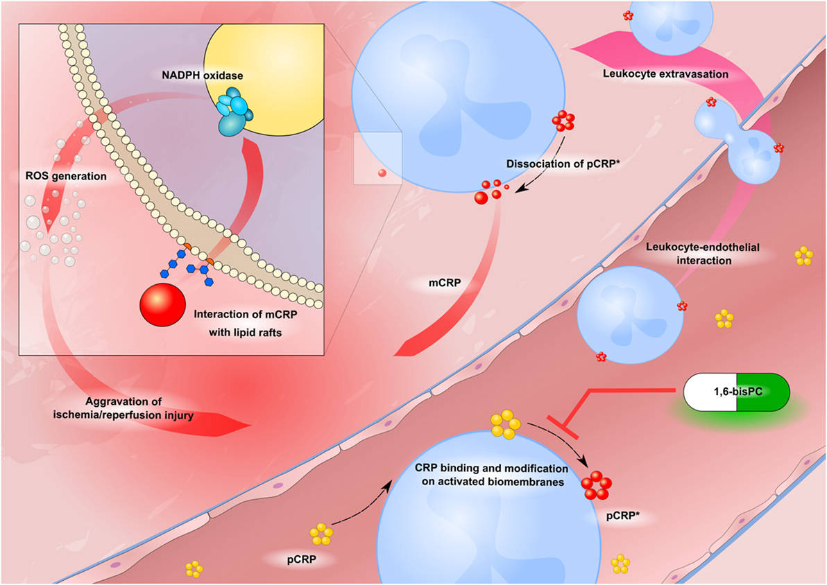 补硒对身体都有啥好处(补硒有什么)-硒宝网
