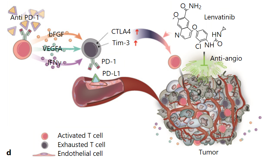 补硒对身体都有啥好处(补硒有什么)-硒宝网