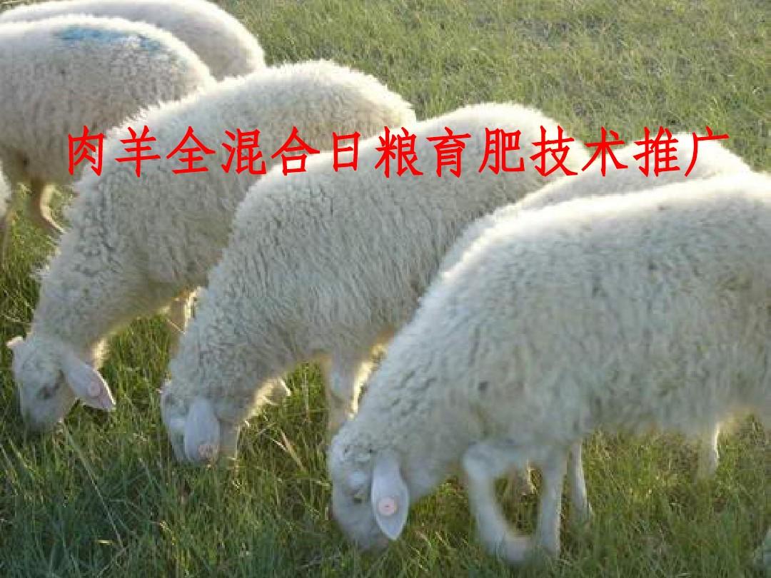 孕早期补硒量多少正常(孕早期补硒量多少正常)-硒宝网