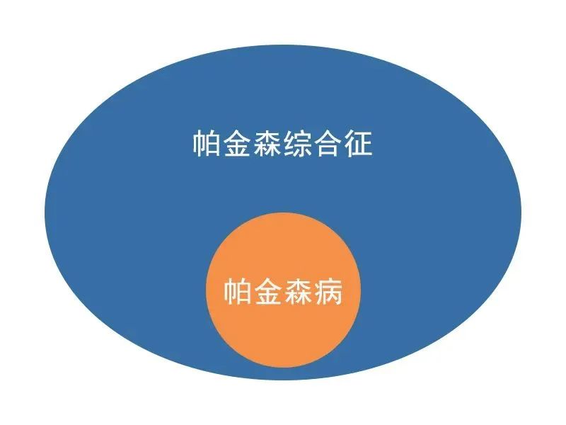 帕金森类似病可补硒吗(帕金森还有什么药可以吃)-硒宝网