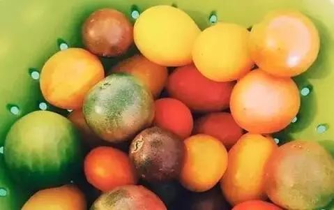 什么东西吃了可以补硒(补东西吃硒可以长高吗)-硒宝网