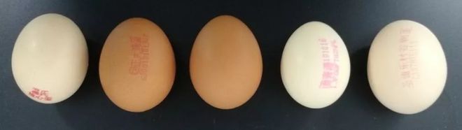 健康人补硒吃什么牌子(吃补硒的保健品有用吗)-硒宝网