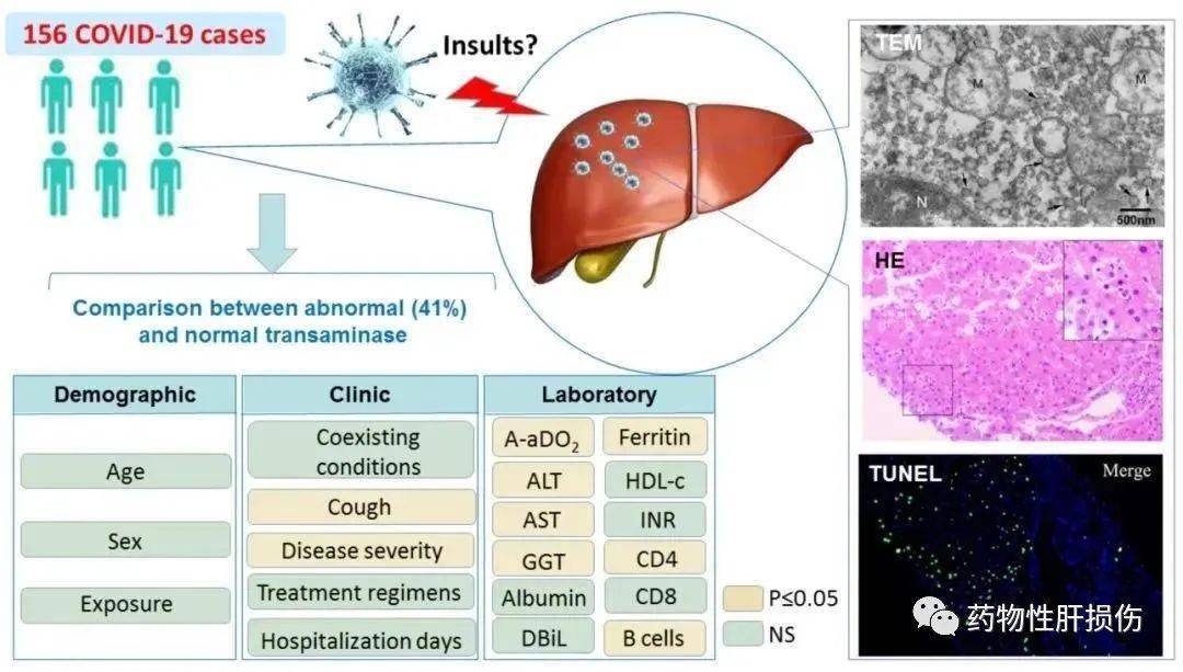 肠道炎患者可以补硒吗(硒对肠炎的作用)-硒宝网