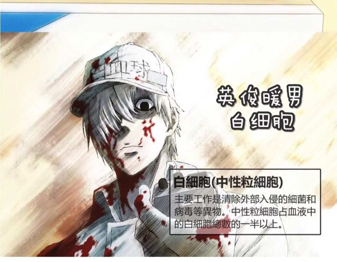 补硒影响白细胞下降吗（白细胞低和硒有关系吗）-硒宝网