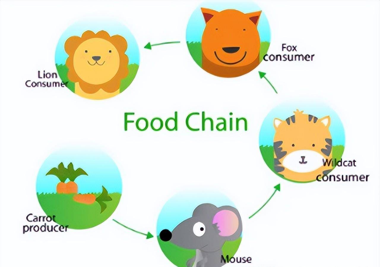 可以食物补硒抗炎症吗(吃硒可以增强抵抗力吗)-硒宝网