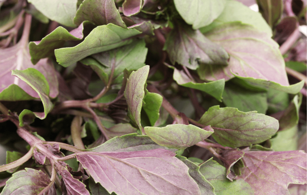 喝多少水能补钾铁锌硒(补钙铁锌硒哪个效果好)-硒宝网