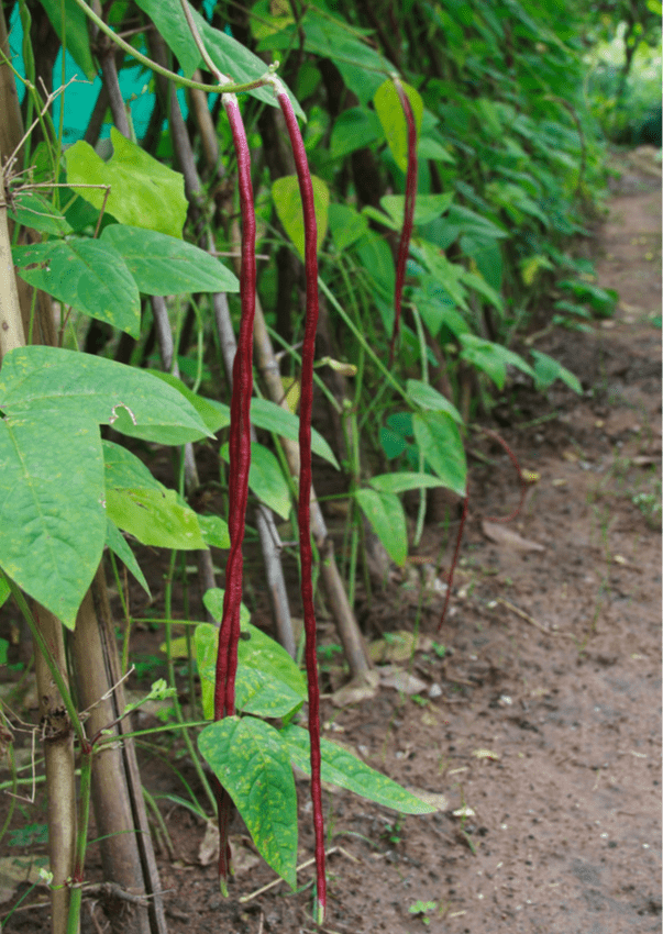 喝多少水能补钾铁锌硒(补钙铁锌硒哪个效果好)-硒宝网