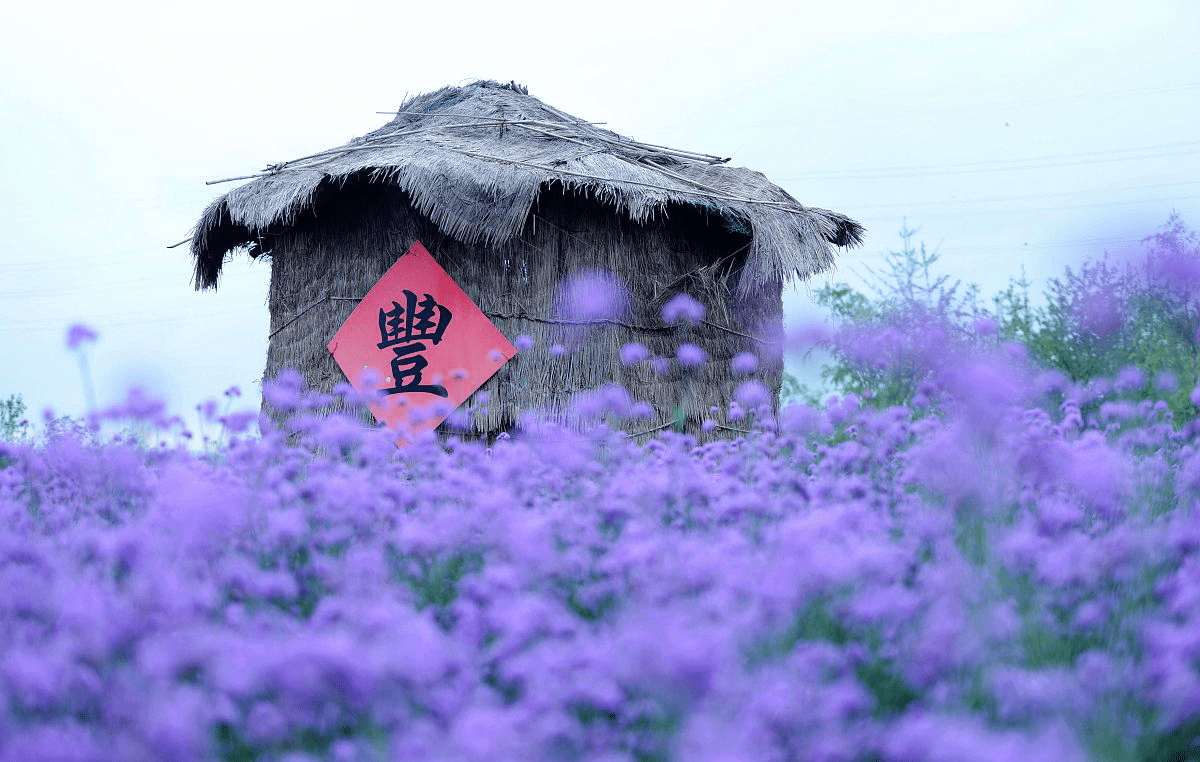 喝多少水能补钾铁锌硒(补钙铁锌硒哪个效果好)-硒宝网