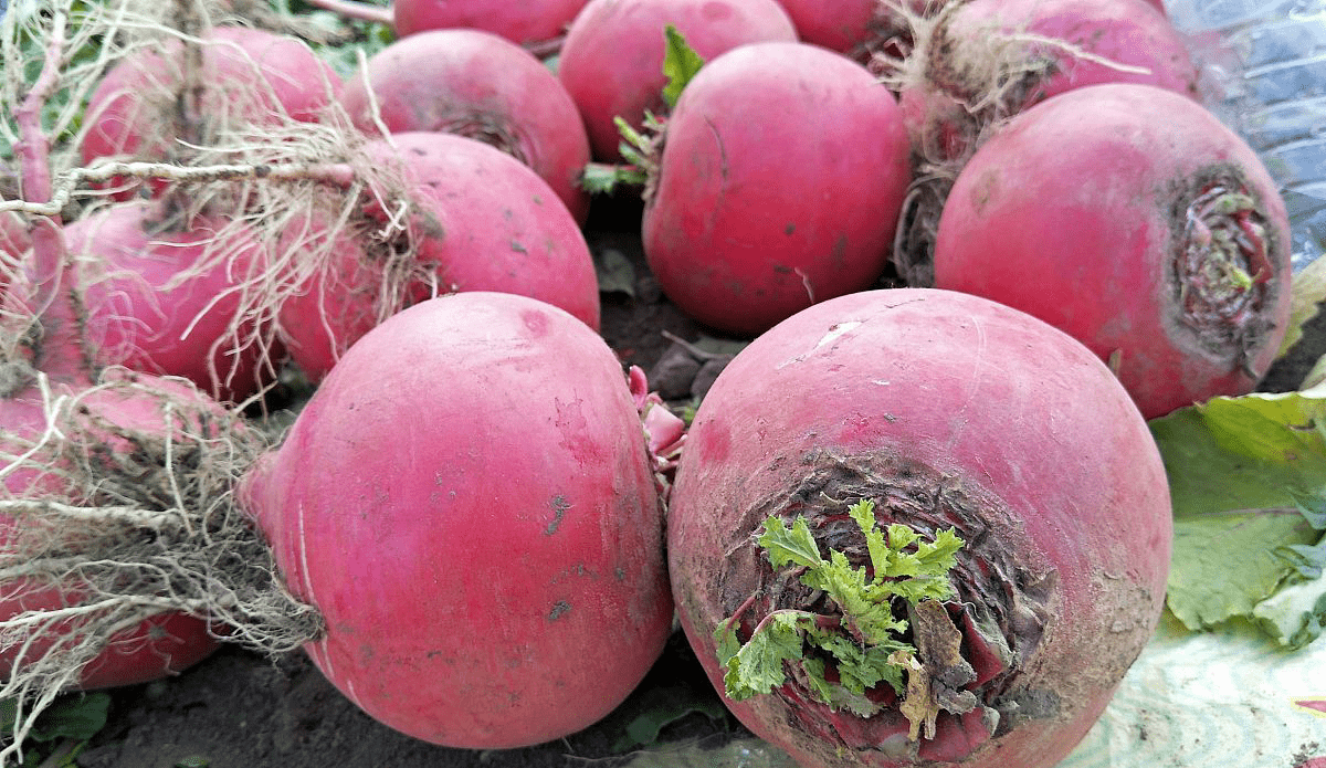 喝多少水能补钾铁锌硒(补钙铁锌硒哪个效果好)-硒宝网