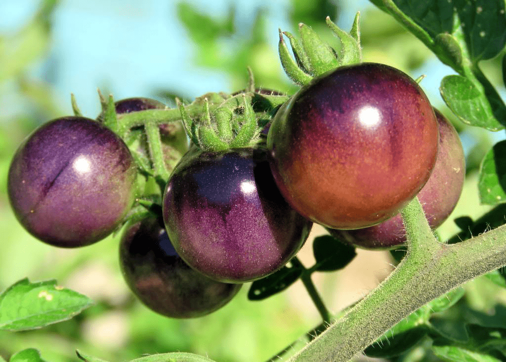 喝多少水能补钾铁锌硒(补钙铁锌硒哪个效果好)-硒宝网