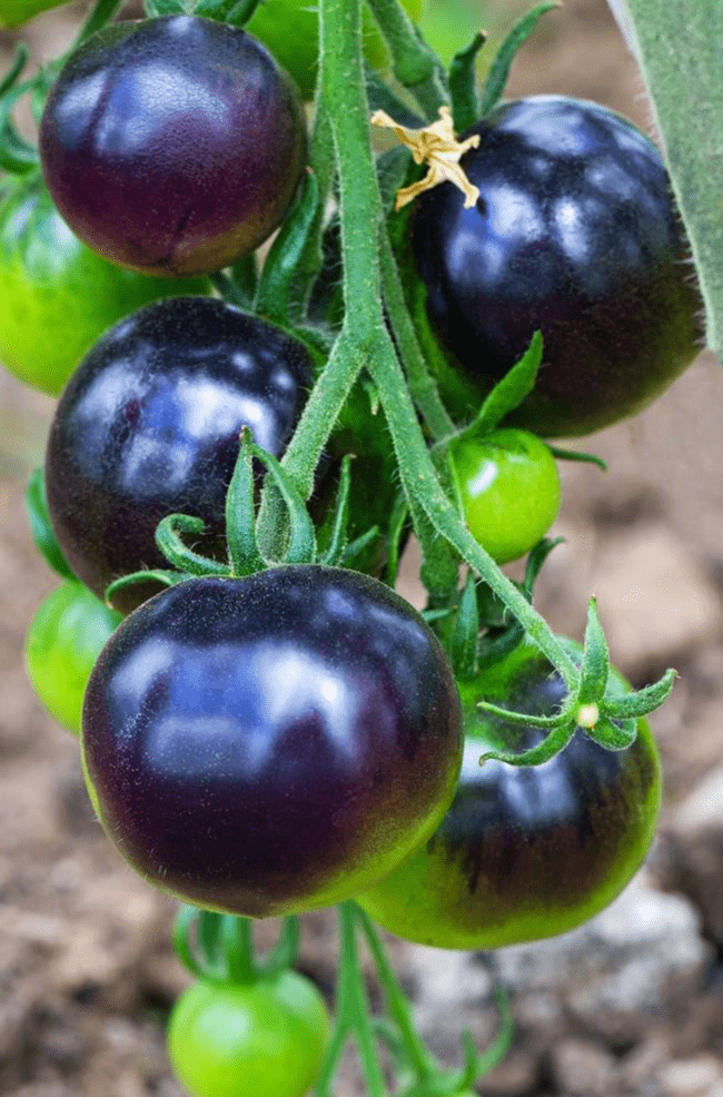 喝多少水能补钾铁锌硒(补钙铁锌硒哪个效果好)-硒宝网