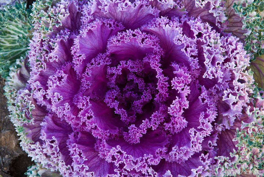 喝多少水能补钾铁锌硒(补钙铁锌硒哪个效果好)-硒宝网