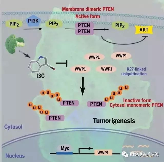 癌症患者用补硒含片吗(癌症患者补硒实例)-硒宝网