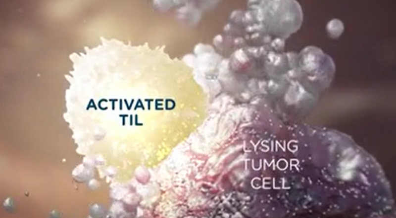 补硒能治疗骨质疏松吗（补硒能治疗骨质疏松吗）-硒宝网