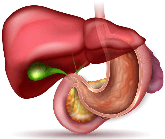 器官衰竭病人要补硒吗（器官病人补衰竭硒要多长时间）-硒宝网