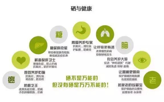 补硒后对身体哪些改善(补硒后身体的调整反应)-硒宝网