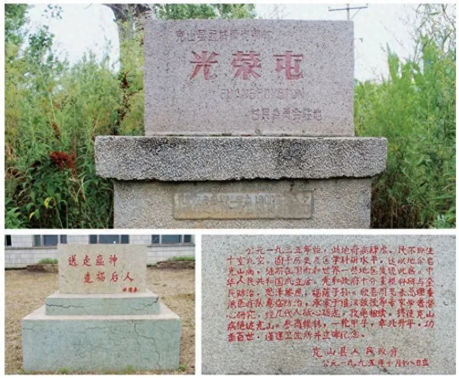 器官衰竭病人要补硒吗(吃硒治疗肾衰竭)-硒宝网