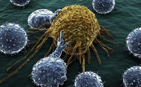 有补硒消除hpv的吗（补硒可以清除hpv吗）-硒宝网