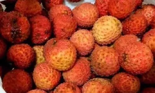 有哪些水果补硒的药物(补硒的水果蔬菜)-硒宝网