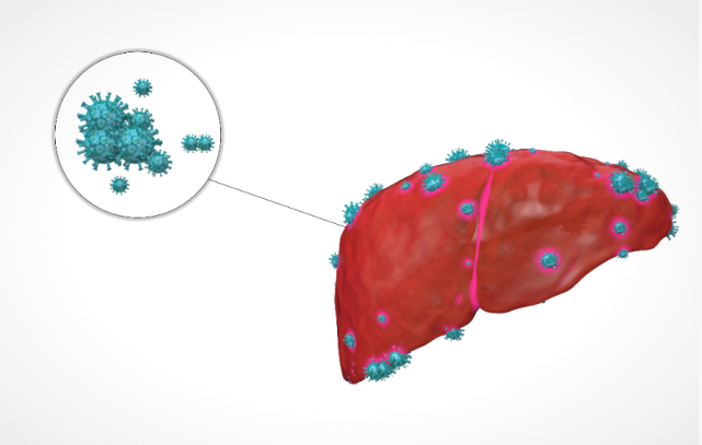 补硒能增加乙肝抗体吗（抗体能补乙肝增加硒含量吗）-硒宝网