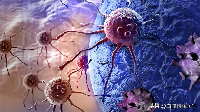 怎样补硒最健康的食物(补食物健康硒的作用)-硒宝网