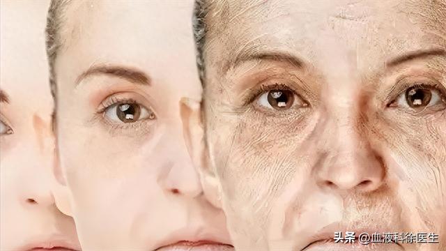 怎样补硒最健康的食物(补食物健康硒的作用)-硒宝网