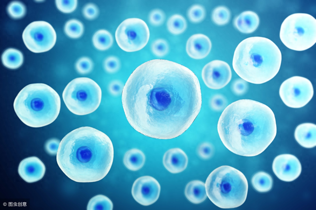 癌症患者要补硒元素吗（癌症补元素患者硒要多久）-硒宝网