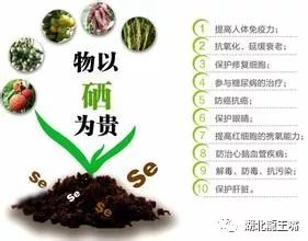 检查硒是轻度需要补吗(补硒之前用查微量元素吗)-硒宝网