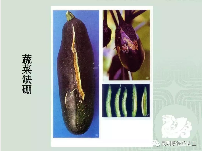 缺硒前期可以过量补吗（补硒可以吗）-硒宝网