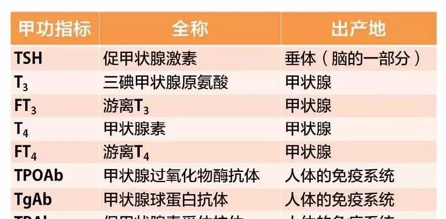 甲状腺对补硒有帮助吗（甲状腺疾病补硒）-硒宝网