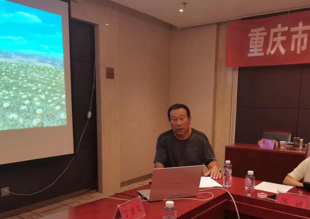 补硒产业发展趋势分析(硒的市场前景)-硒宝网